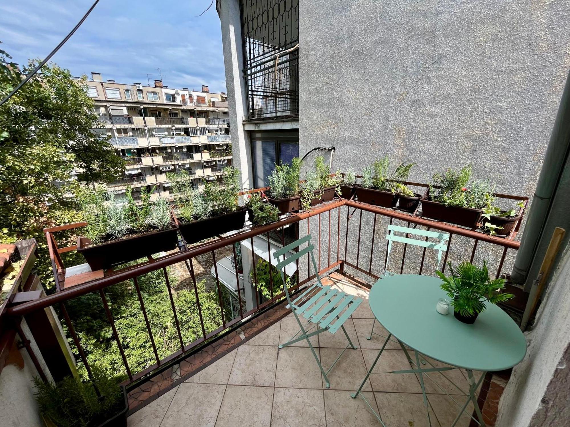베오그라드 Urban Oasis 아파트 외부 사진